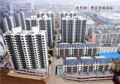 史丹利连续拿下临沂多个区域“地王”,发力进军房产市场