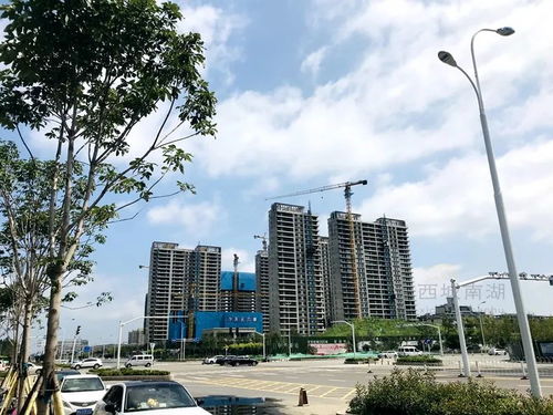 二手房停摆,临沂下半年新房市场或将迎来利好