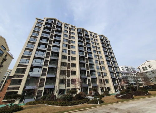城建.锦绣府3月工程播报丨春满焕新境,美好更可期