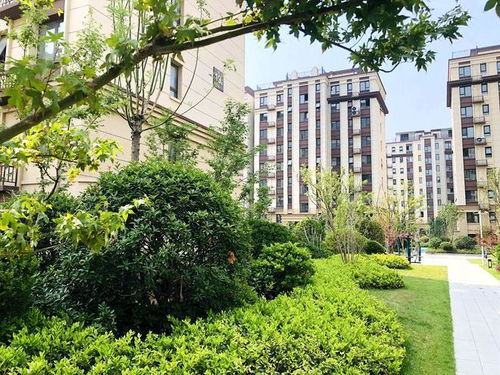 临沂楼市回暖迹象不明显,房企拿地热情不高