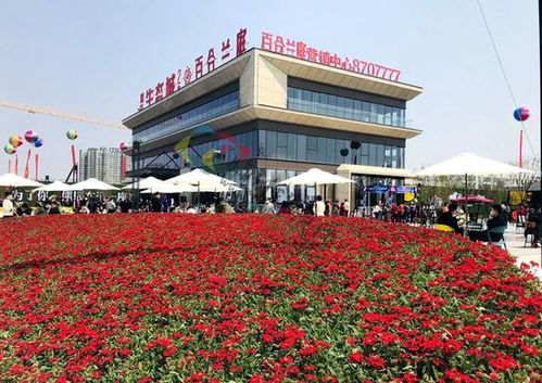临沂两房地产楼盘宣布提价,房价真的还要上涨吗