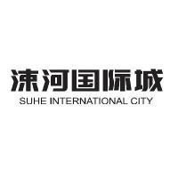 山东大陆临沂房地产开发