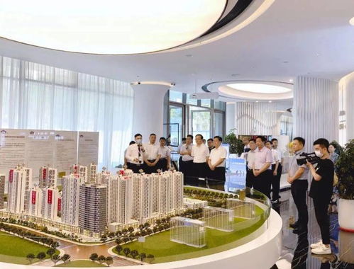 山东省临沂市调研组领导一行莅临碧桂园云顶交流